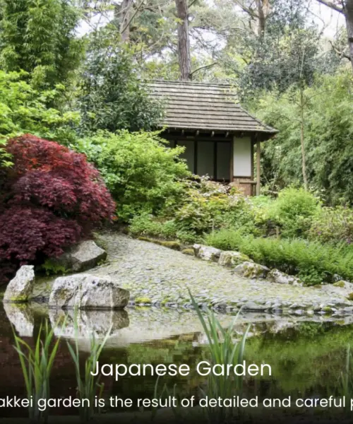 Japanese Garden