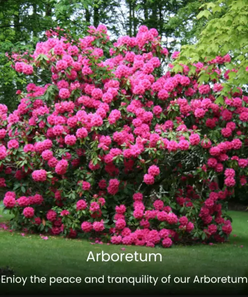 Arboretum